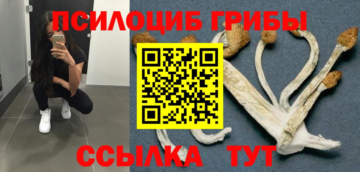 Йошкар-Ола  закладка  Галлюциногенные грибы мицелий  Вход с VPN  Псилоцибиновые грибы ЛСД 