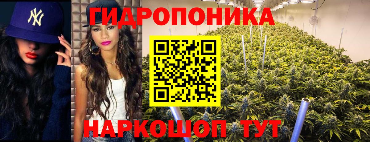 МАРИХУАНА планчик Йошкар-Ола